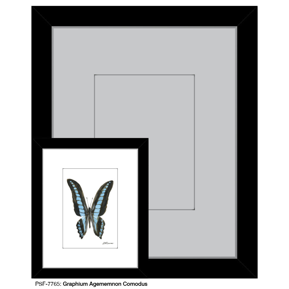 Graphium Agememnon Comodus, Print (#7765A) - Arte House