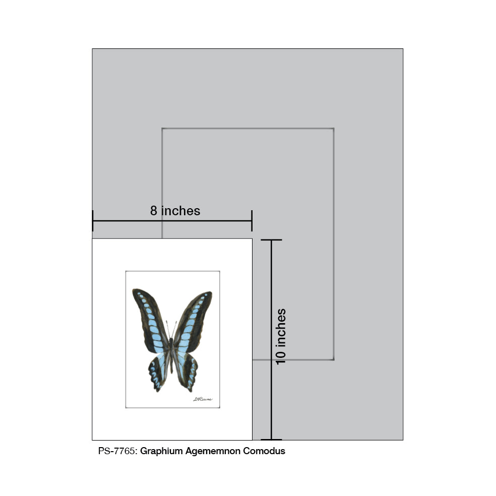 Graphium Agememnon Comodus, Print (#7765A) - Arte House