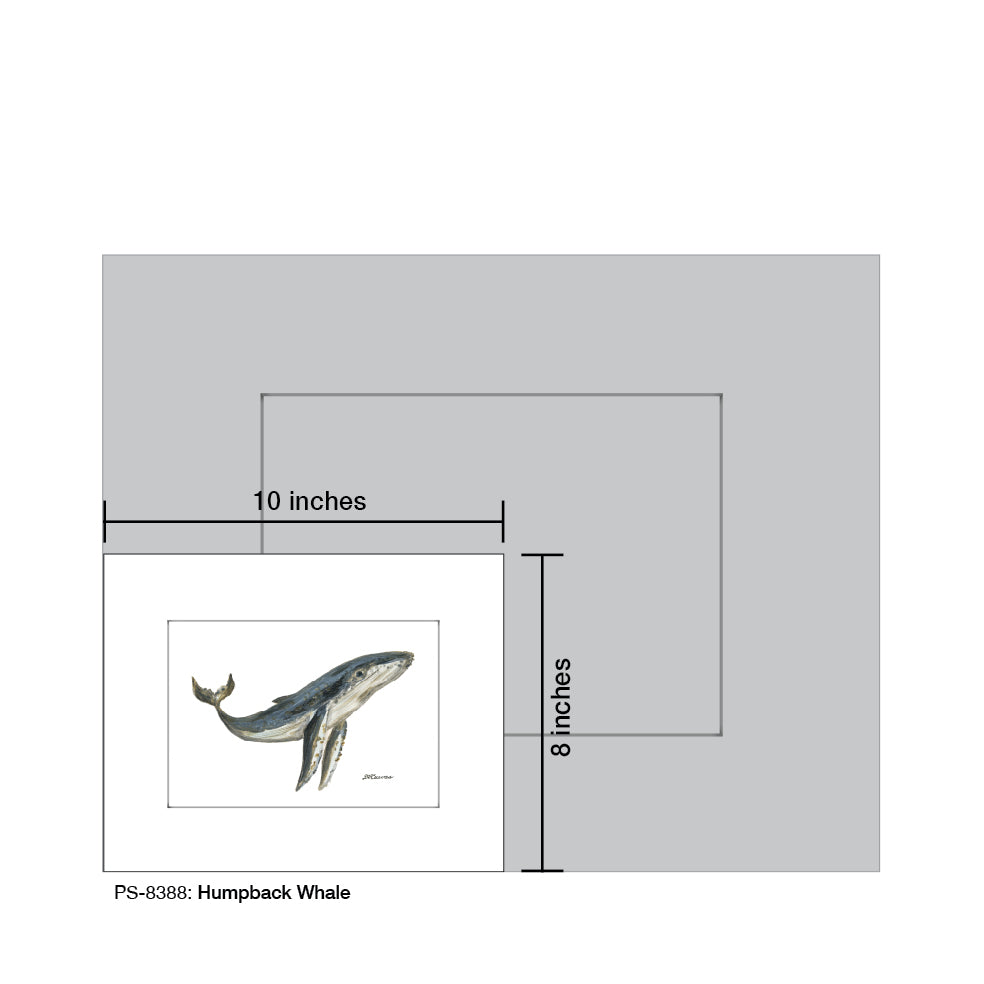 Humpback Whale, Print (#8388B)