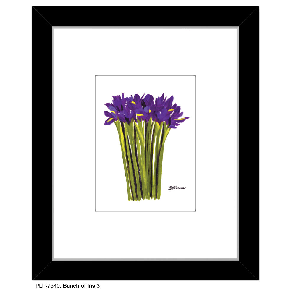 Bunch of Iris 3, Print (#7540A)