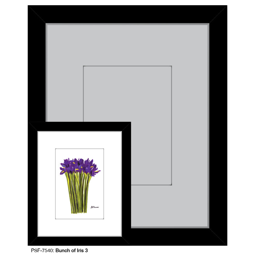 Bunch of Iris 3, Print (#7540A)