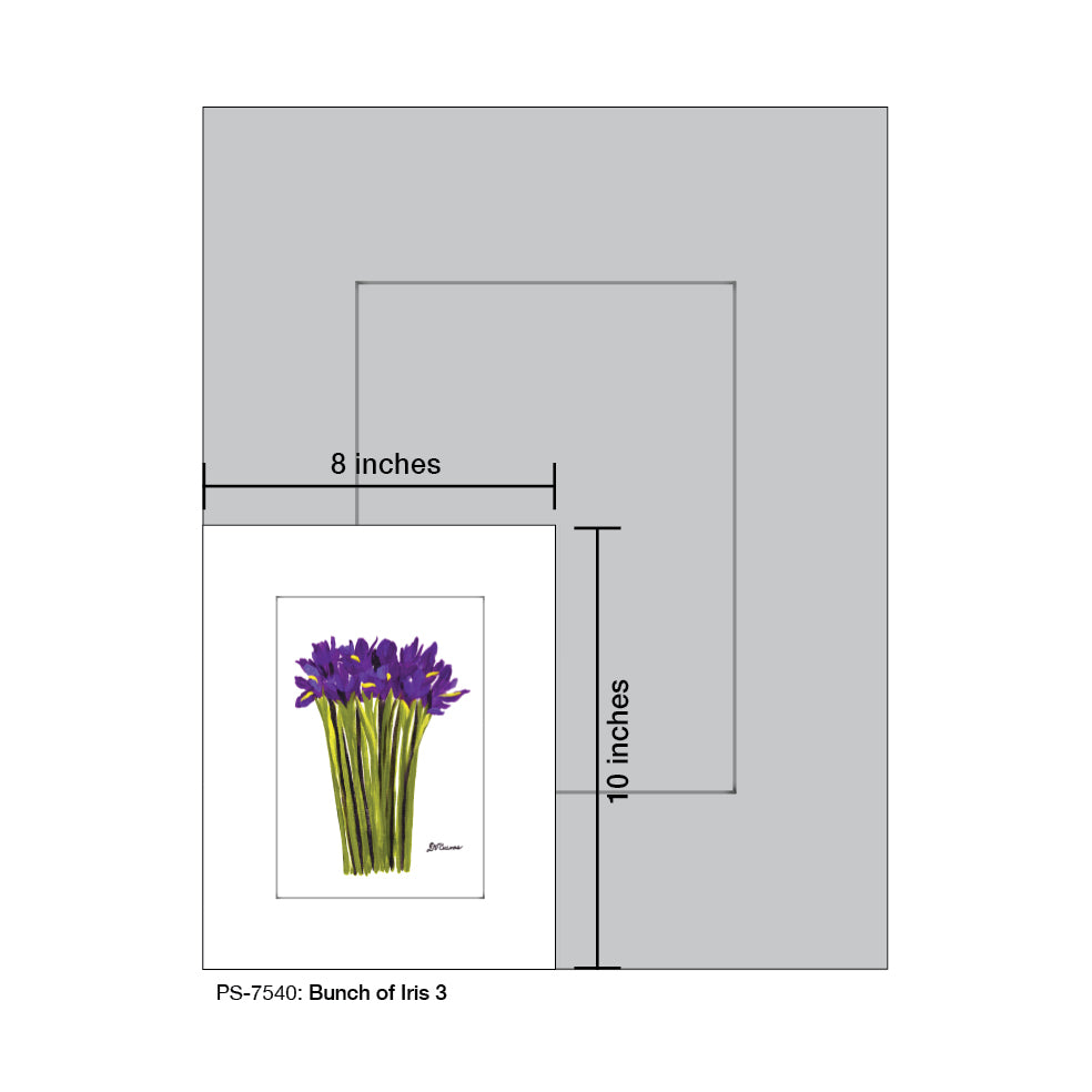 Bunch of Iris 3, Print (#7540A)