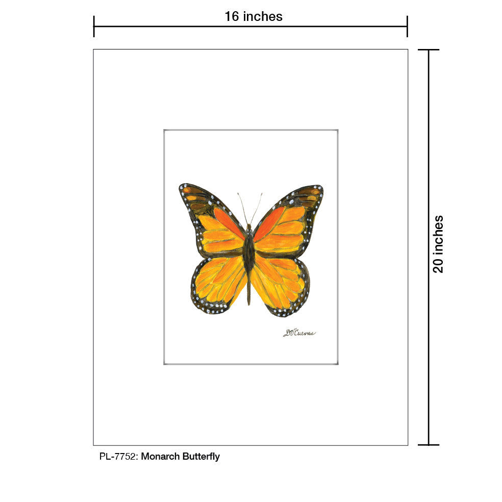 Monarch Butterfly, Print (#7752B) - Arte House