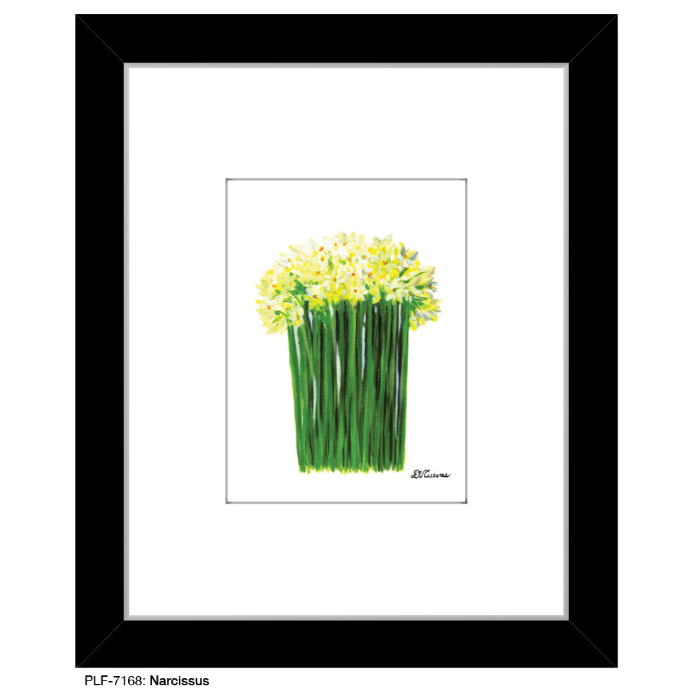 Narcissus, Print (#7168A) - Arte House