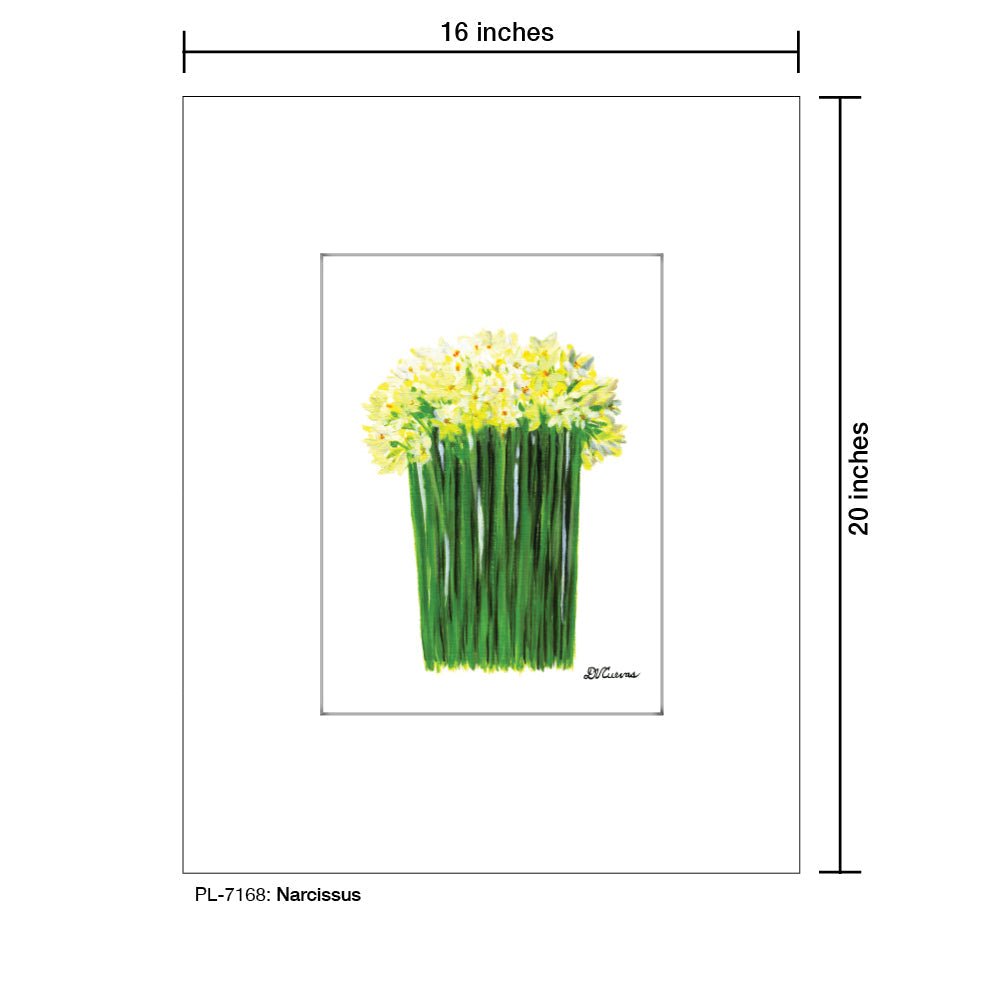 Narcissus, Print (#7168A) - Arte House