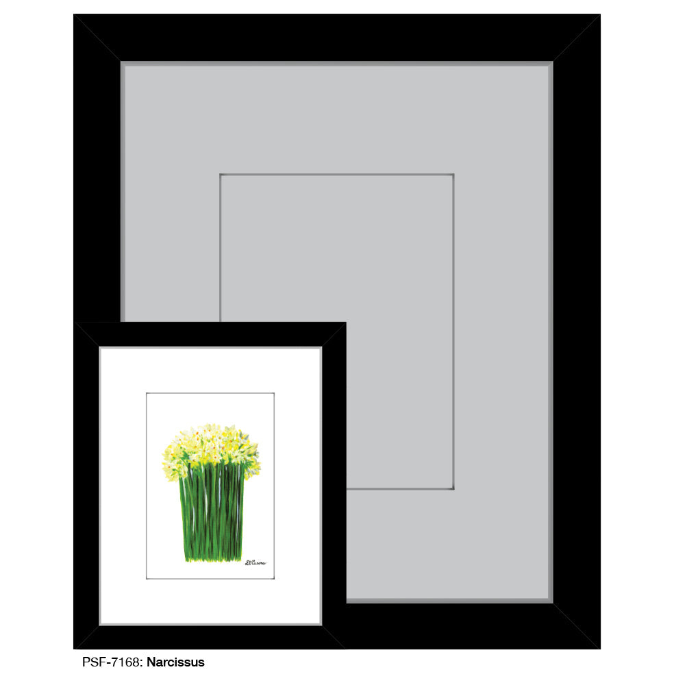 Narcissus, Print (#7168A) - Arte House