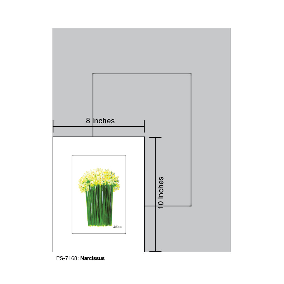 Narcissus, Print (#7168A) - Arte House