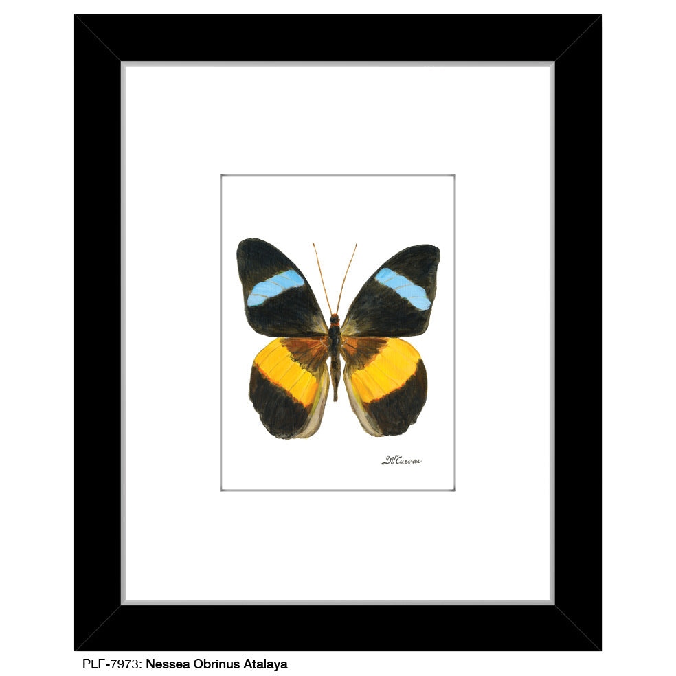 Nessea Obrinus Atalaya, Print (#7973B) - Arte House