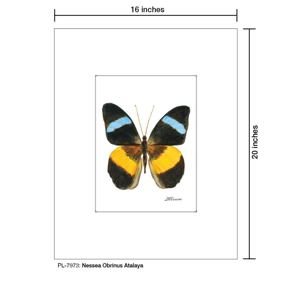 Nessea Obrinus Atalaya, Print (#7973B) - Arte House