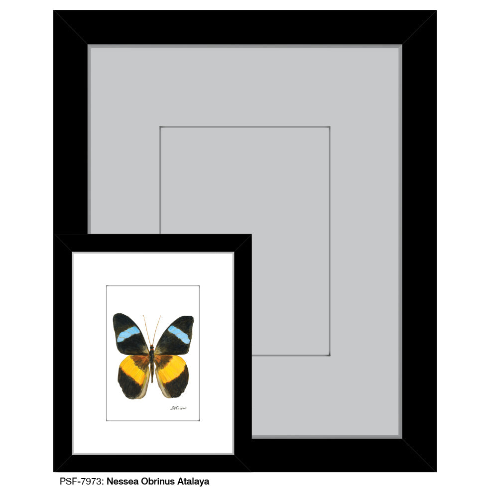 Nessea Obrinus Atalaya, Print (#7973B) - Arte House
