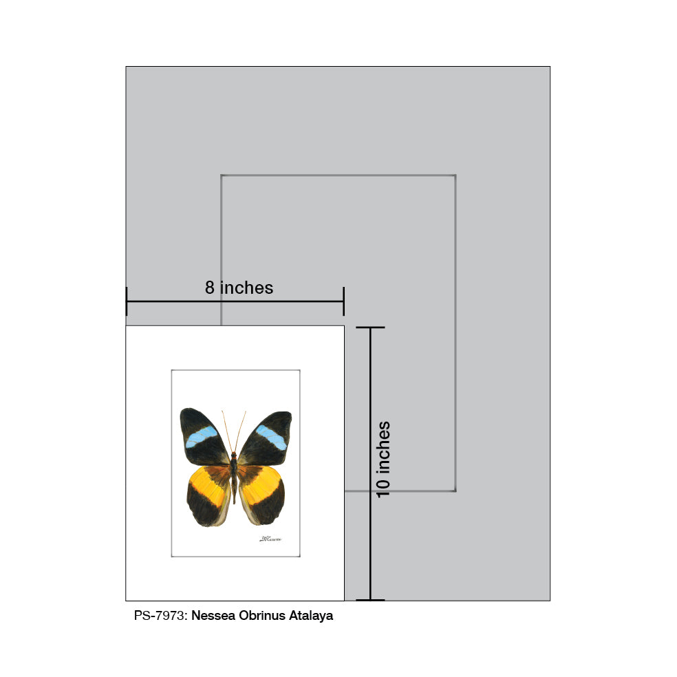 Nessea Obrinus Atalaya, Print (#7973B) - Arte House