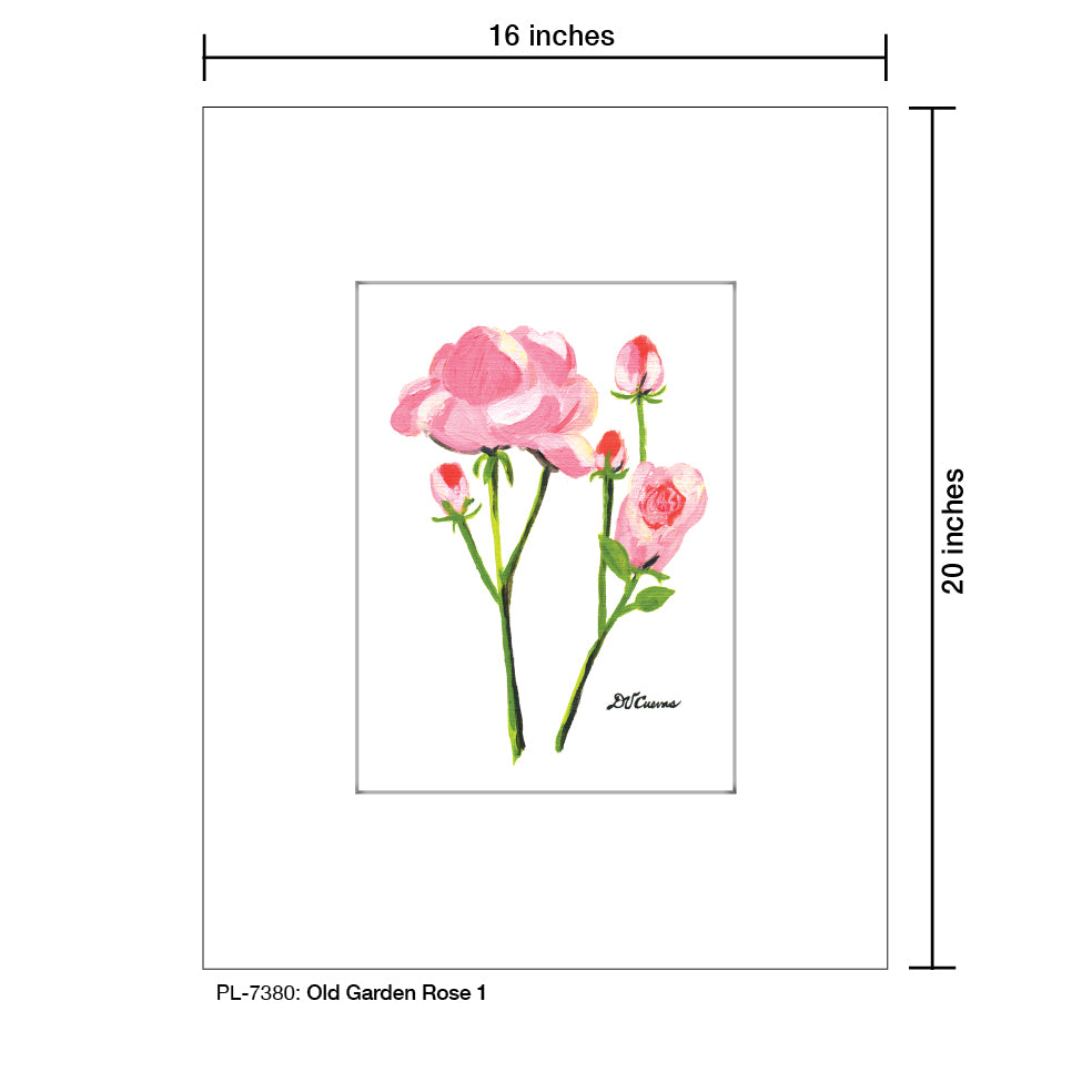 Old Garden Rose 1, Print (#7380A) - Arte House