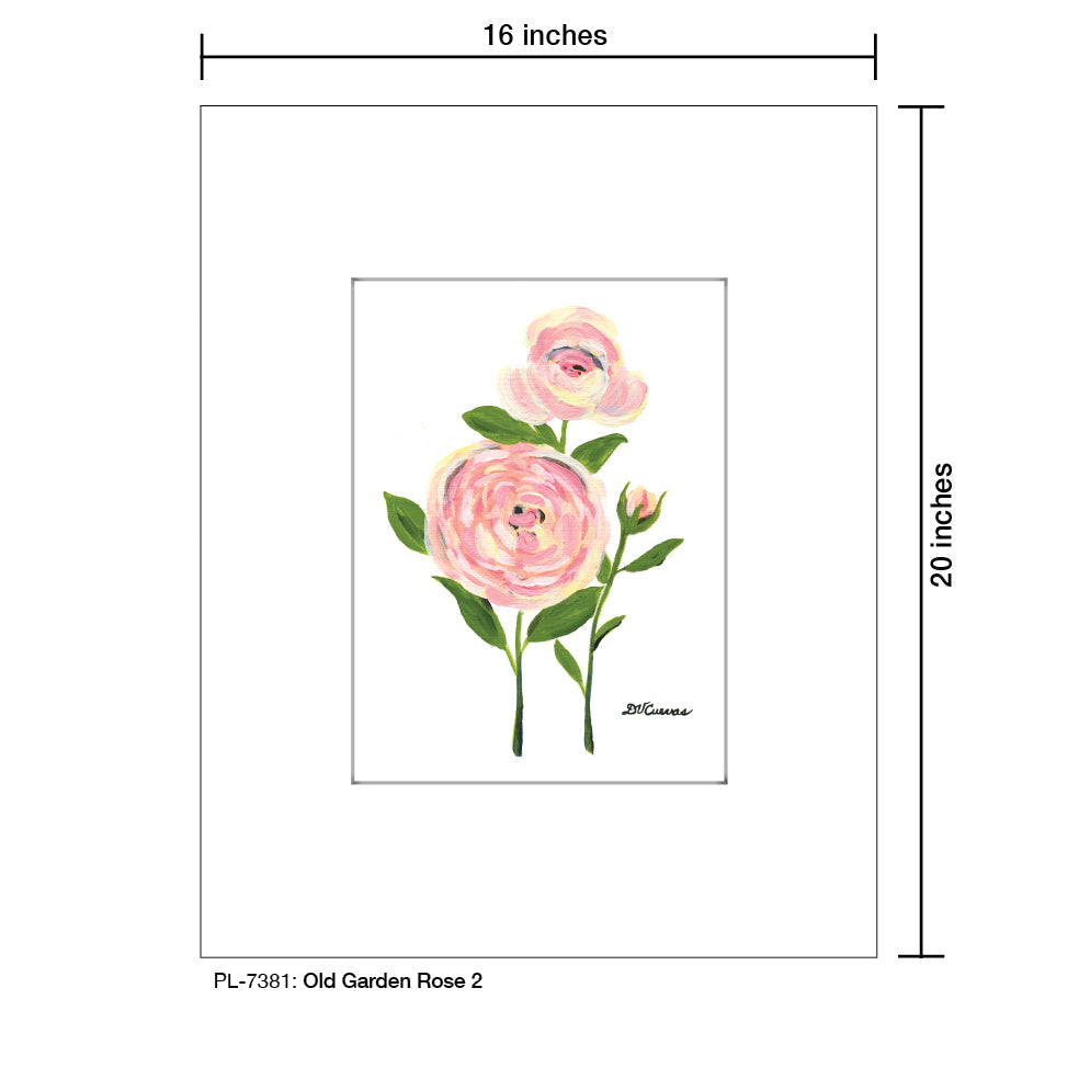 Old Garden Rose 2, Print (#7381A) - Arte House