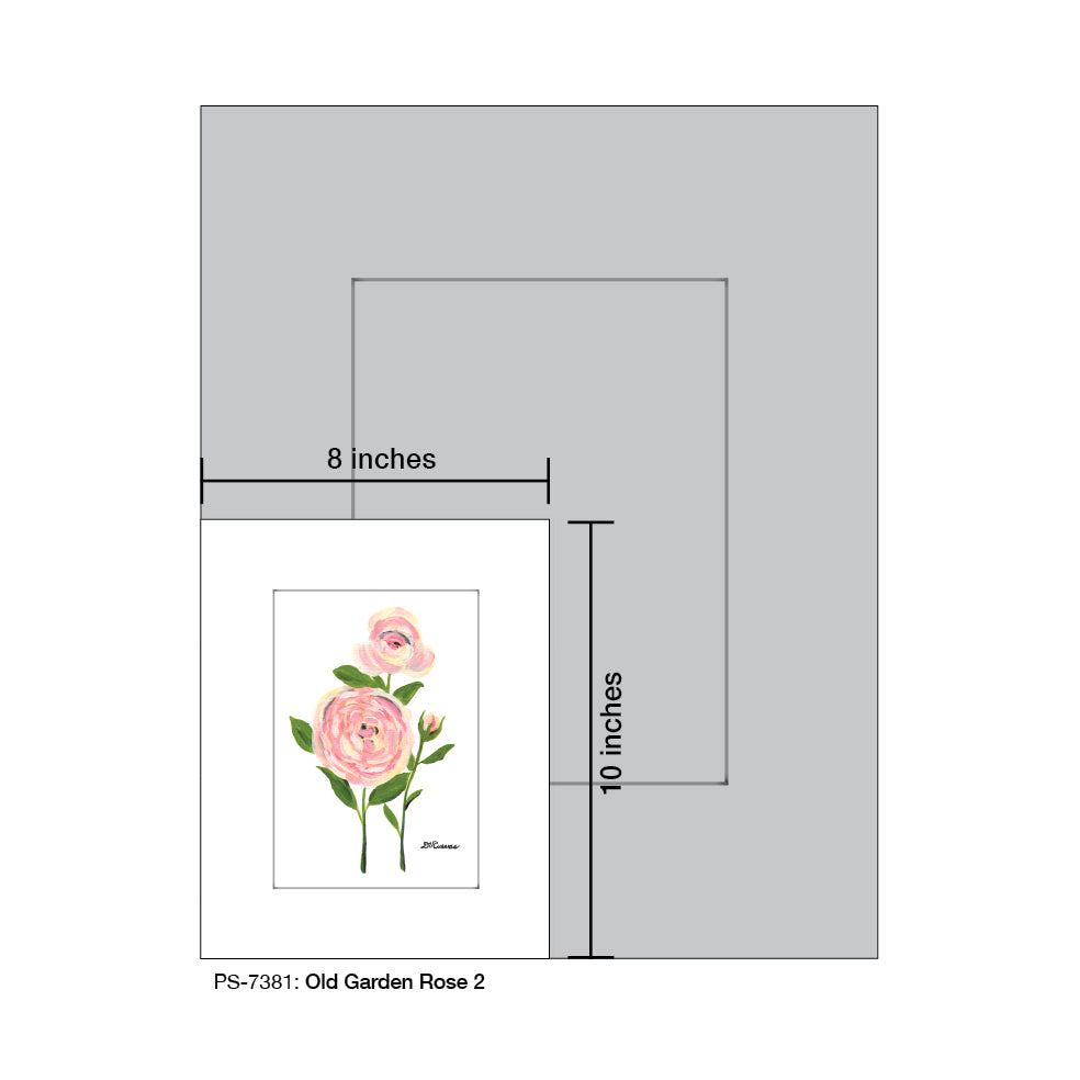 Old Garden Rose 2, Print (#7381A) - Arte House