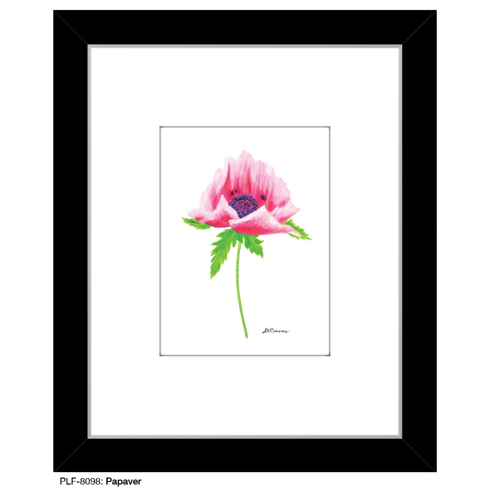 Papaver, Print (#8098C) - Arte House