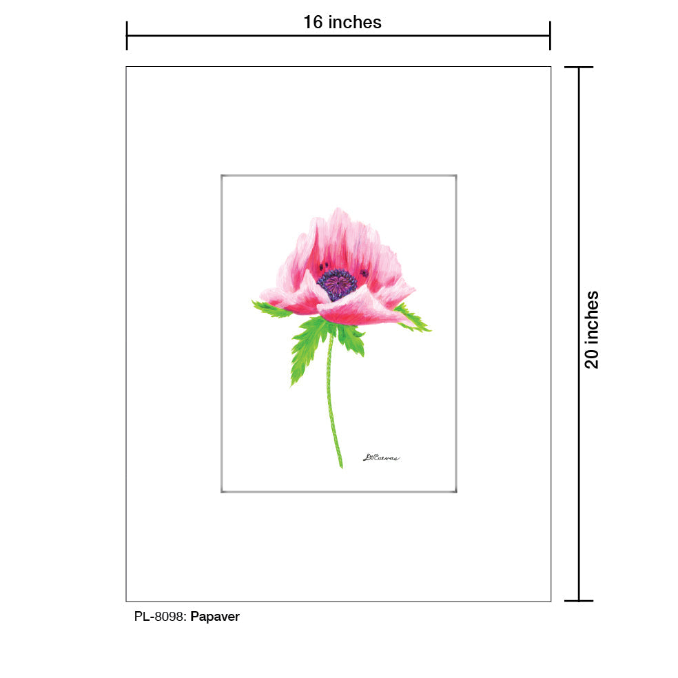 Papaver, Print (#8098C) - Arte House