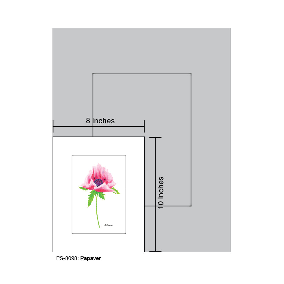 Papaver, Print (#8098C) - Arte House