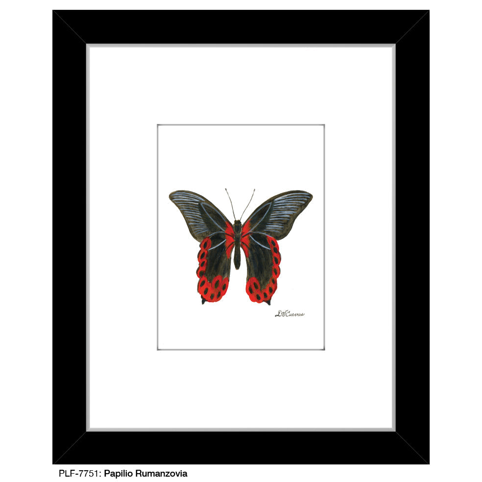Papilio Rumanzovia, Print (#7751A) - Arte House