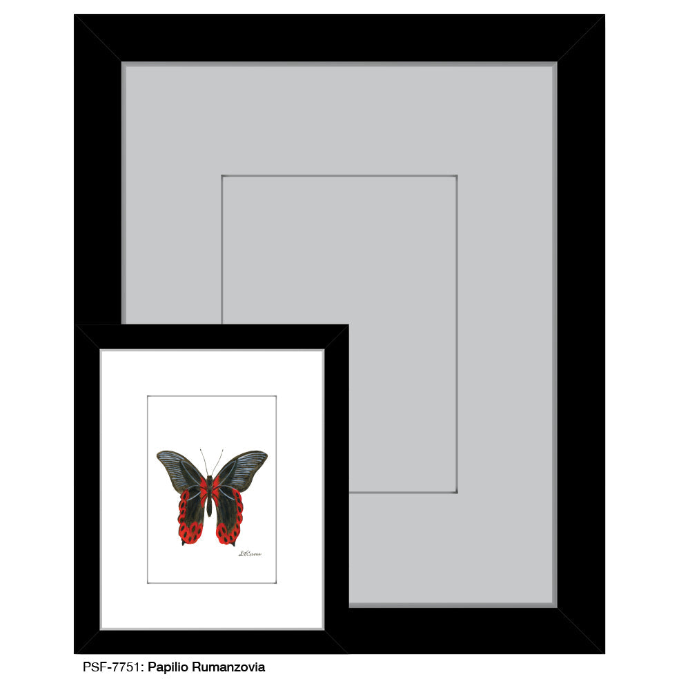 Papilio Rumanzovia, Print (#7751A) - Arte House