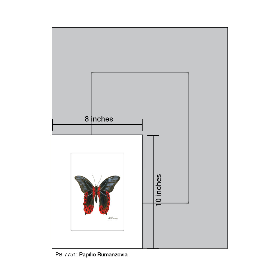 Papilio Rumanzovia, Print (#7751A) - Arte House