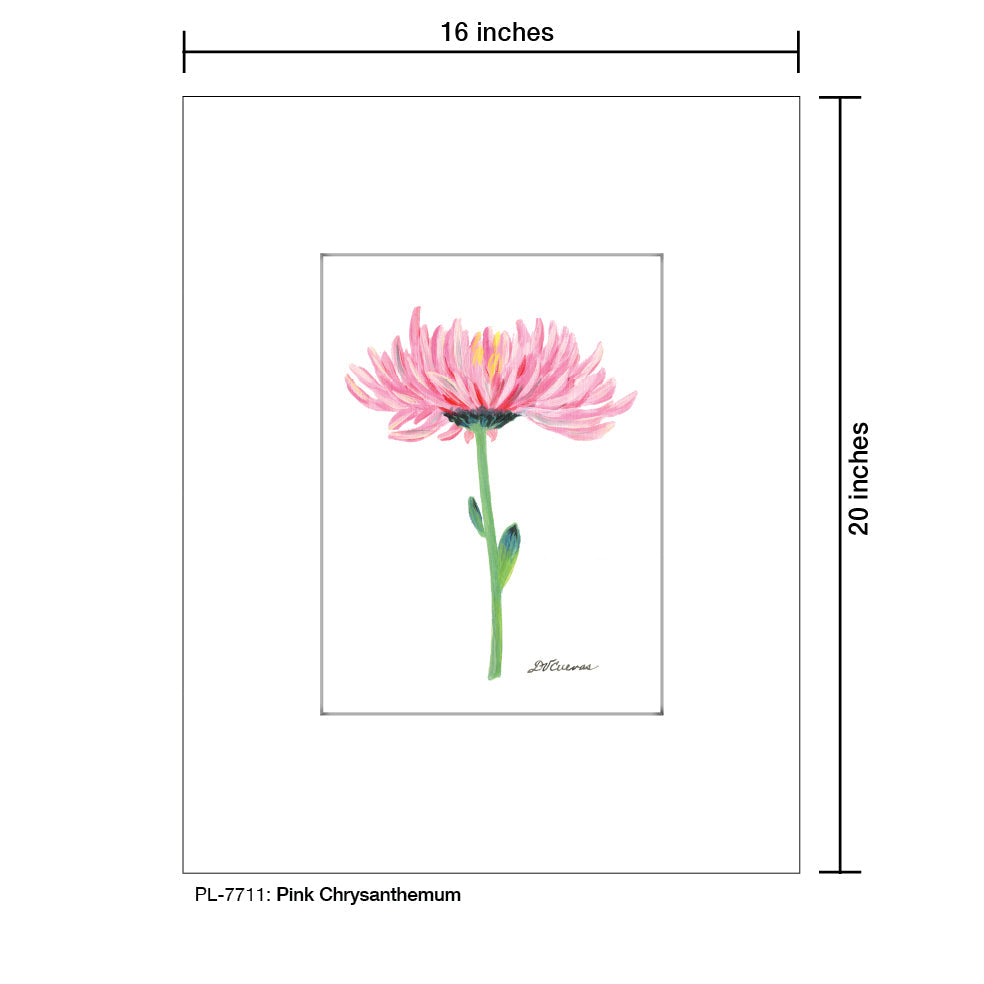 Pink Chrysanthemum, Print (#7711B) - Arte House