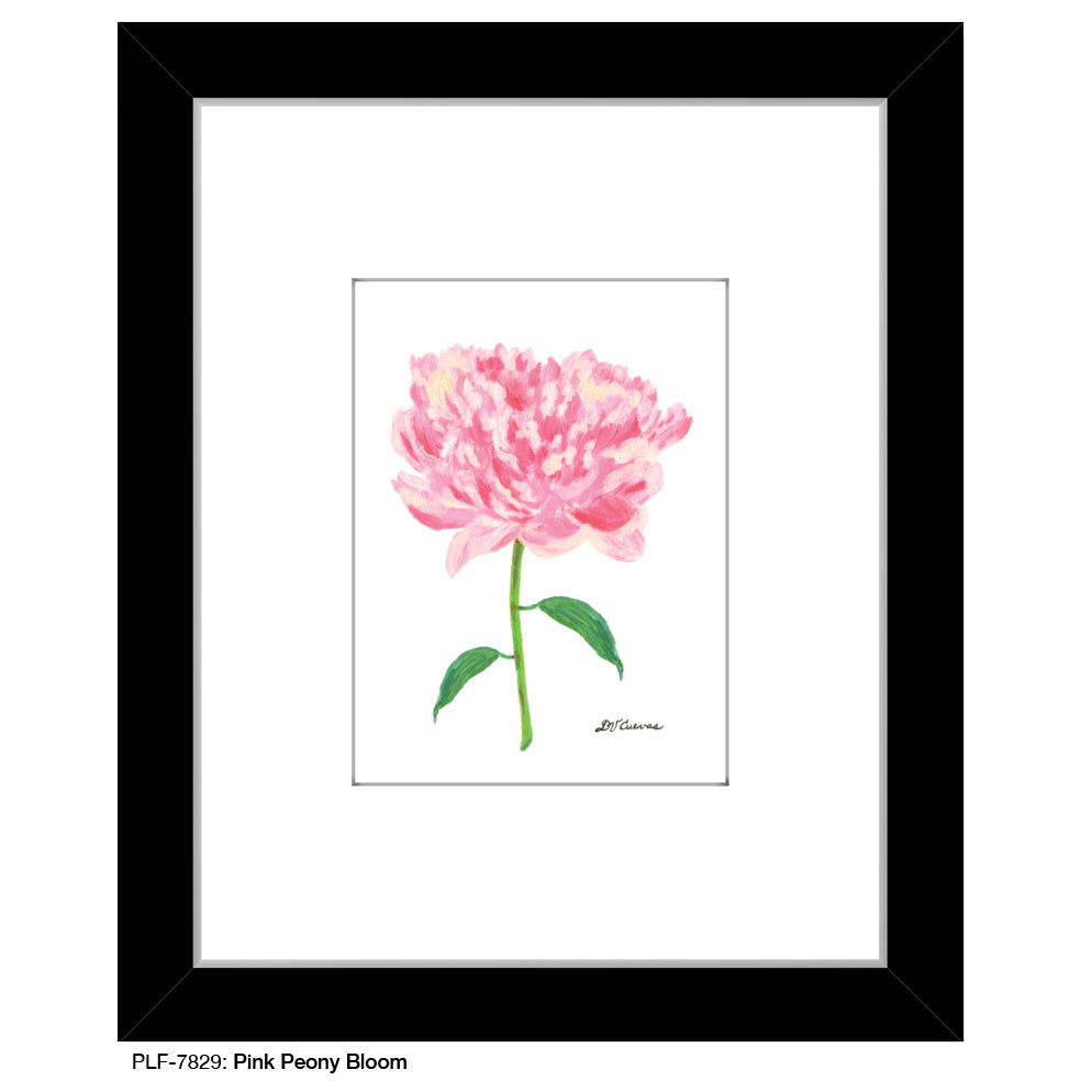 Pink Peony Bloom, Print (#7829A) - Arte House