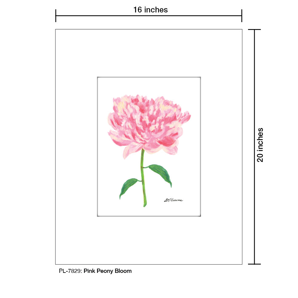 Pink Peony Bloom, Print (#7829A) - Arte House