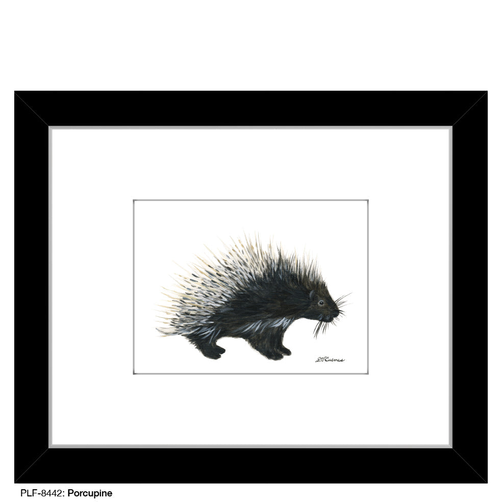 Porcupine, Print (#8442B) - Arte House