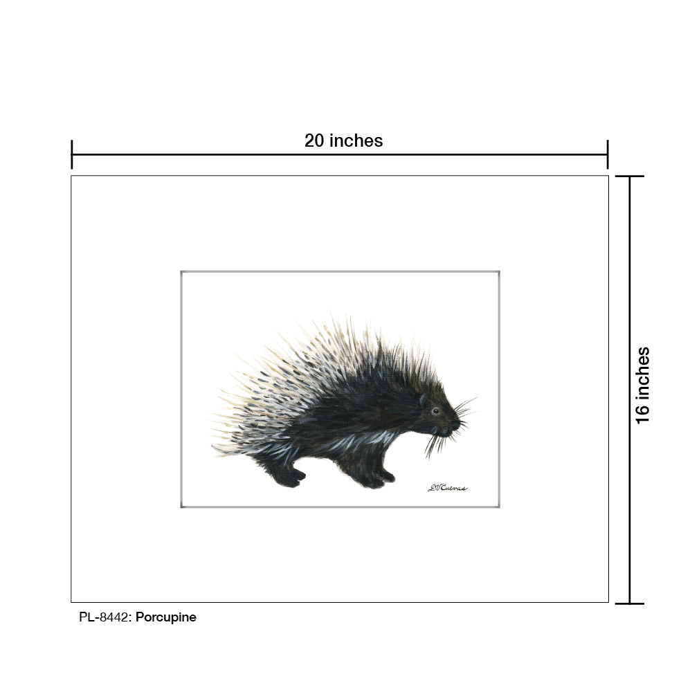 Porcupine, Print (#8442B) - Arte House