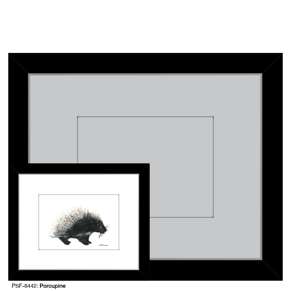 Porcupine, Print (#8442B) - Arte House