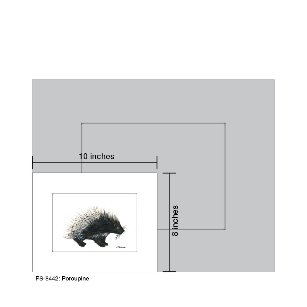 Porcupine, Print (#8442B) - Arte House