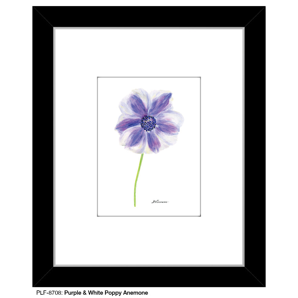 Purple & White Poppy Anemone, Print (#8708D) - Arte House