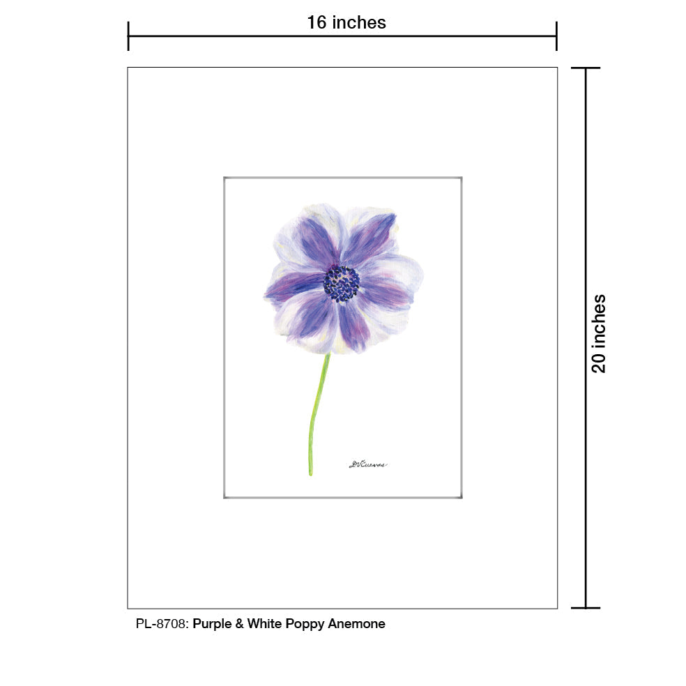 Purple & White Poppy Anemone, Print (#8708D) - Arte House