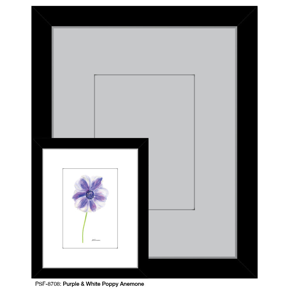 Purple & White Poppy Anemone, Print (#8708D) - Arte House