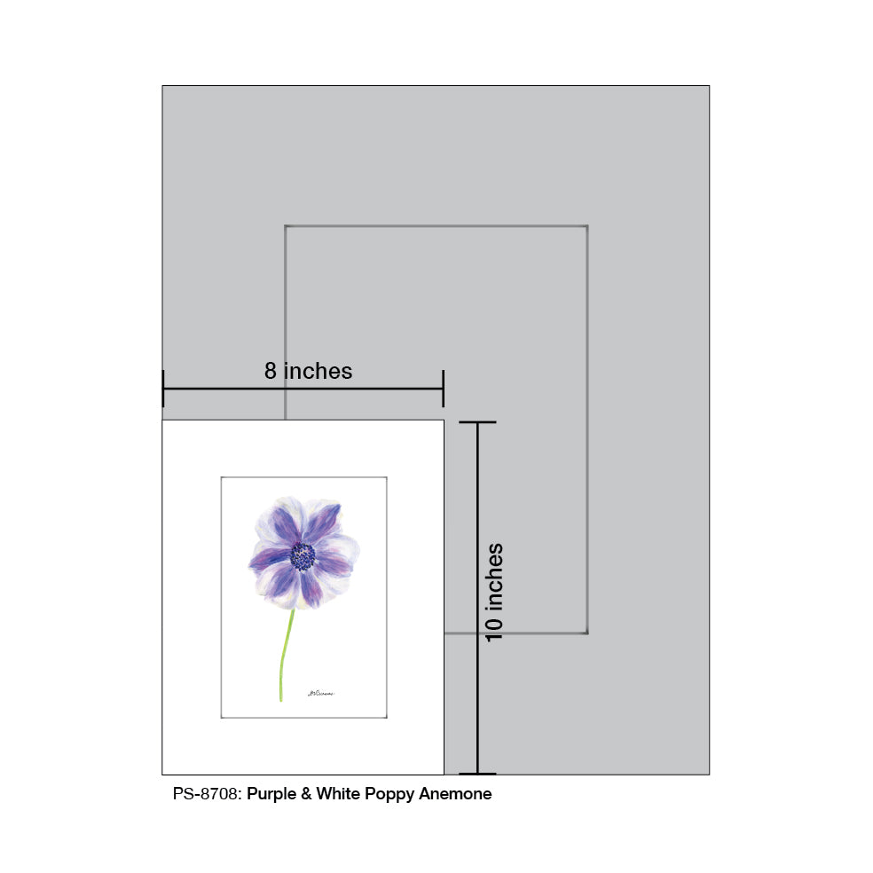 Purple & White Poppy Anemone, Print (#8708D) - Arte House