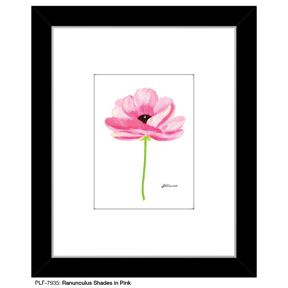 Ranunculus Shades in Pink, Print (#7935B) - Arte House
