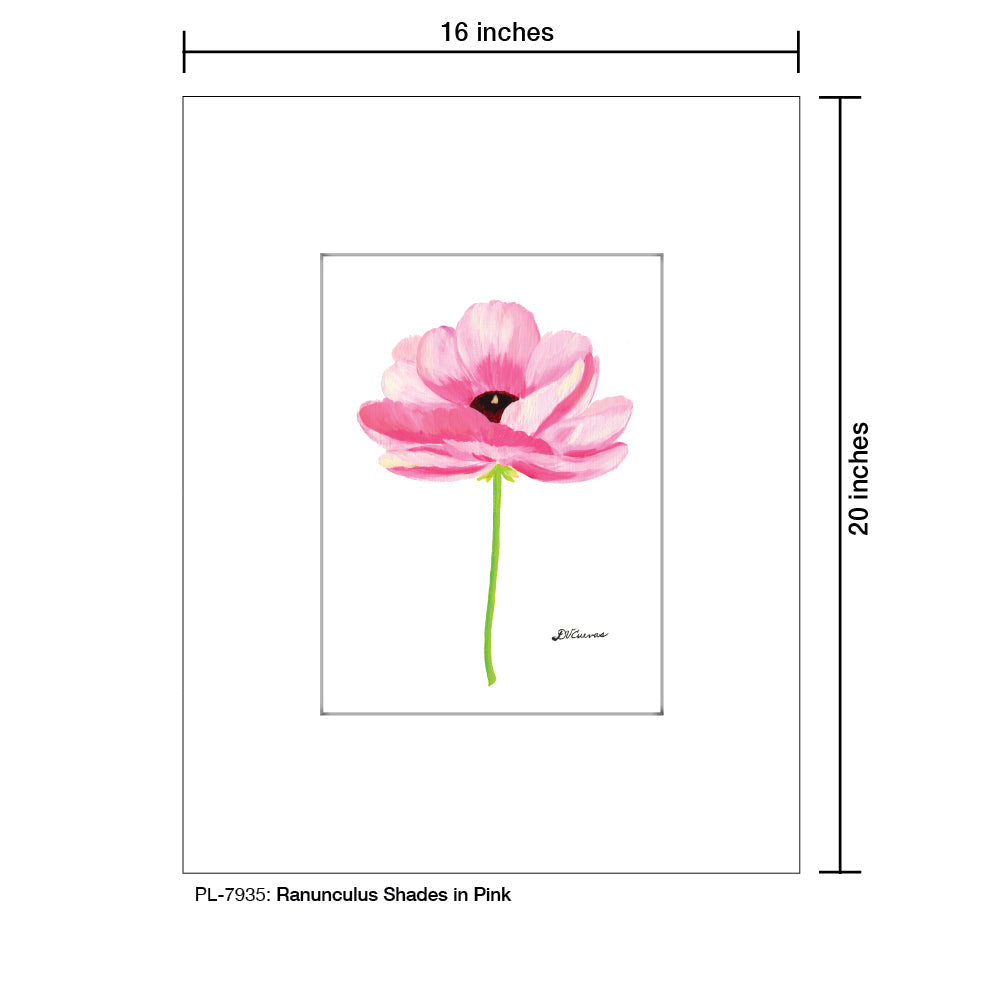 Ranunculus Shades in Pink, Print (#7935B) - Arte House
