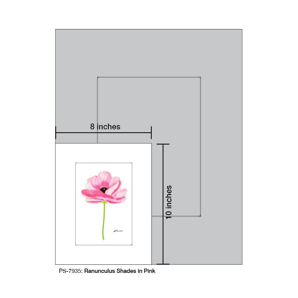 Ranunculus Shades in Pink, Print (#7935B) - Arte House