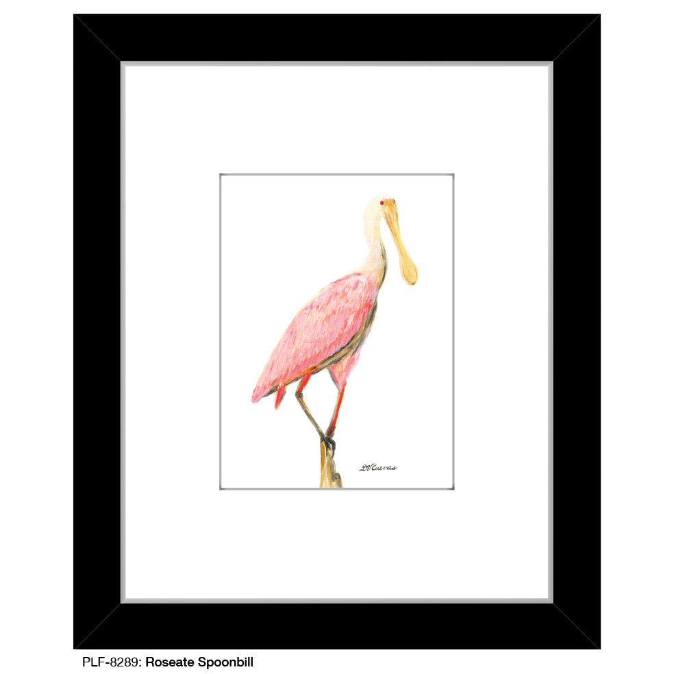 Roseate Spoonbill, Print (#8289C) - Arte House