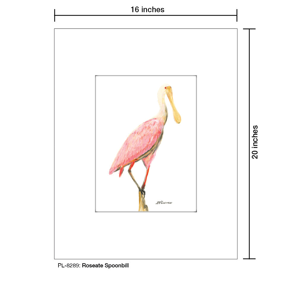 Roseate Spoonbill, Print (#8289C) - Arte House