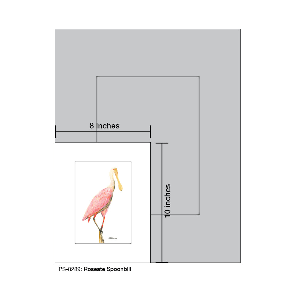 Roseate Spoonbill, Print (#8289C) - Arte House