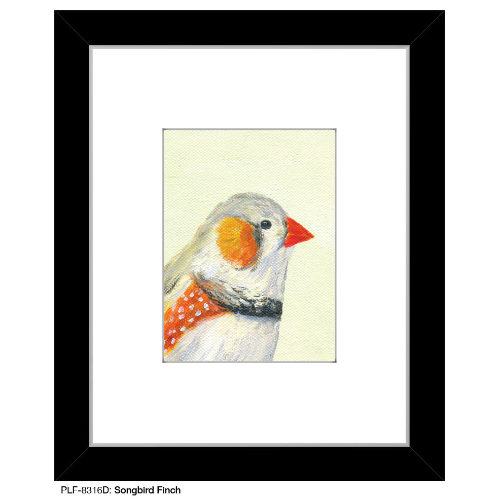 Songbird Finch, Print (#8316D) - Arte House