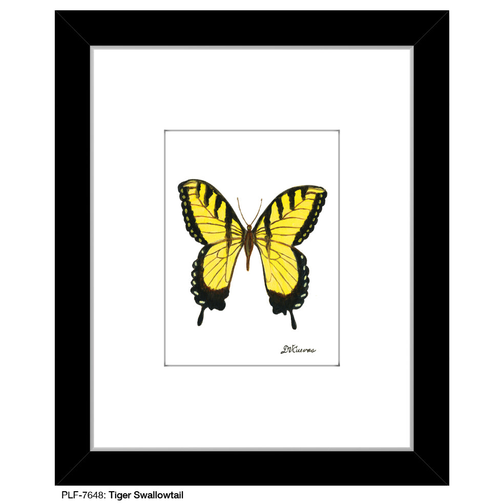 Tiger Swallowtail, Print (#7648B)