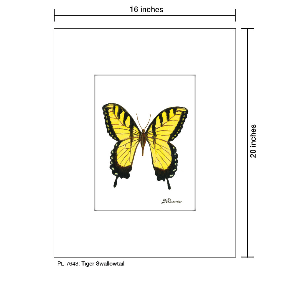 Tiger Swallowtail, Print (#7648B)