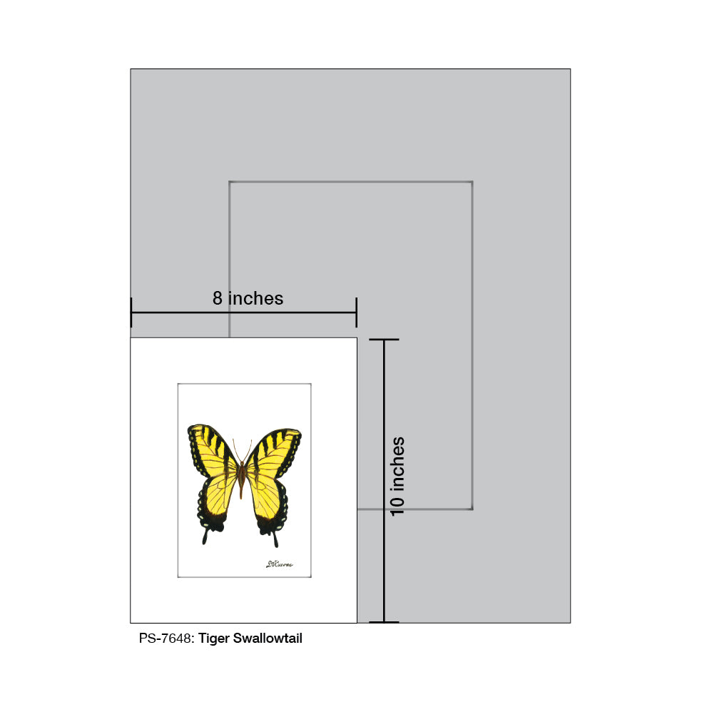 Tiger Swallowtail, Print (#7648B)