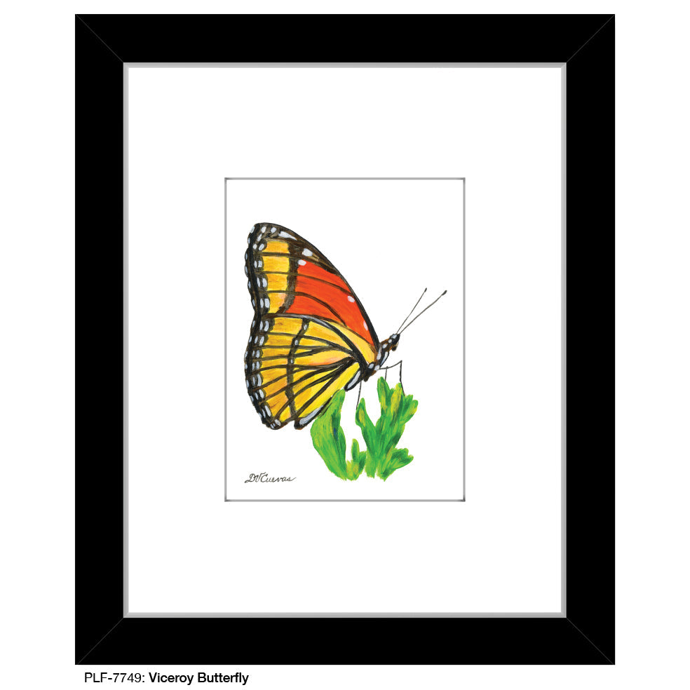 Viceroy Butterfly, Print (#7749B) - Arte House