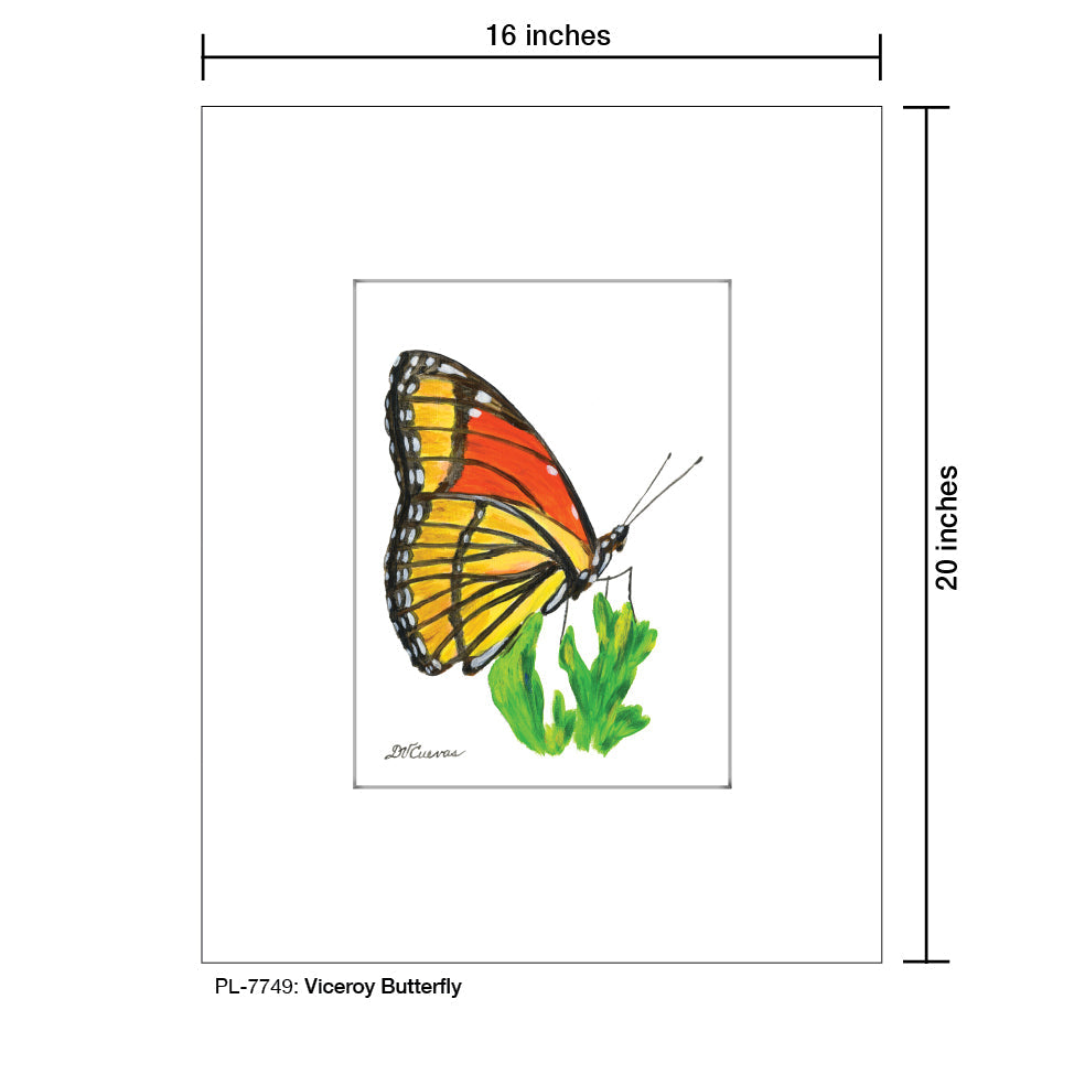 Viceroy Butterfly, Print (#7749B) - Arte House