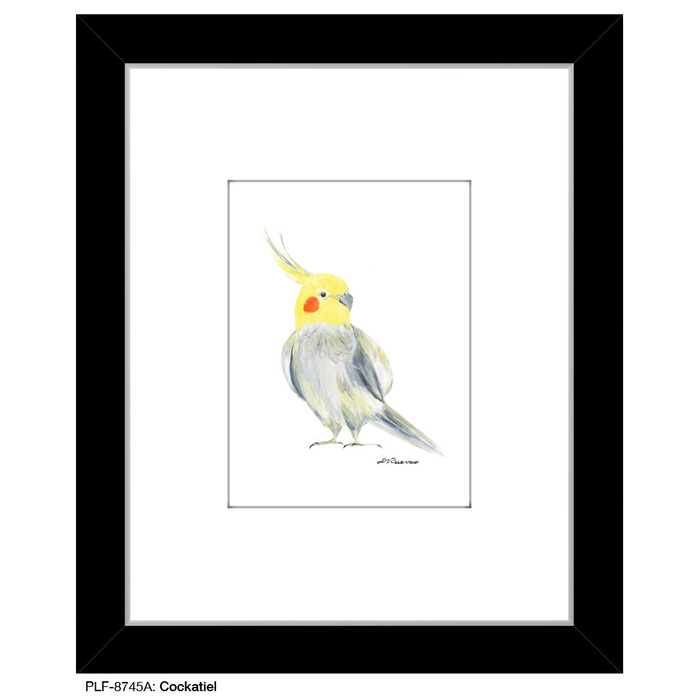Cockatiel, Print (#8745A) - Arte House
