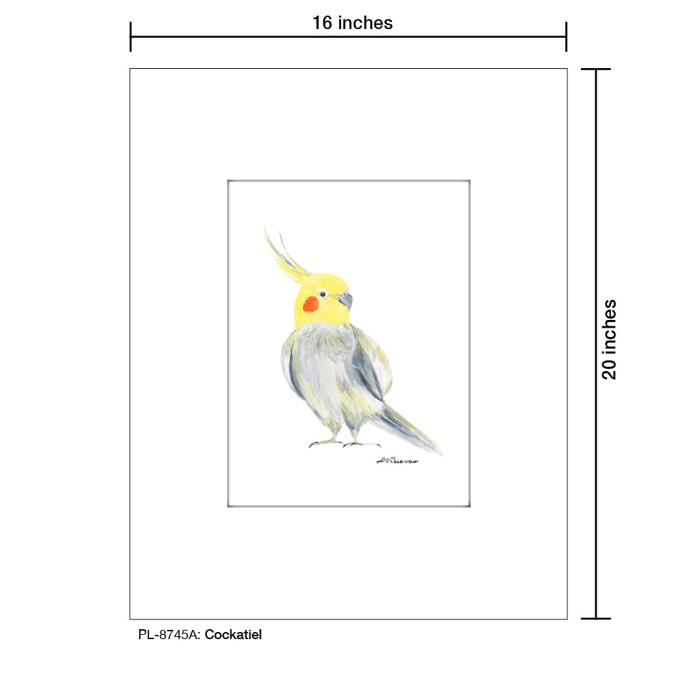 Cockatiel, Print (#8745A) - Arte House