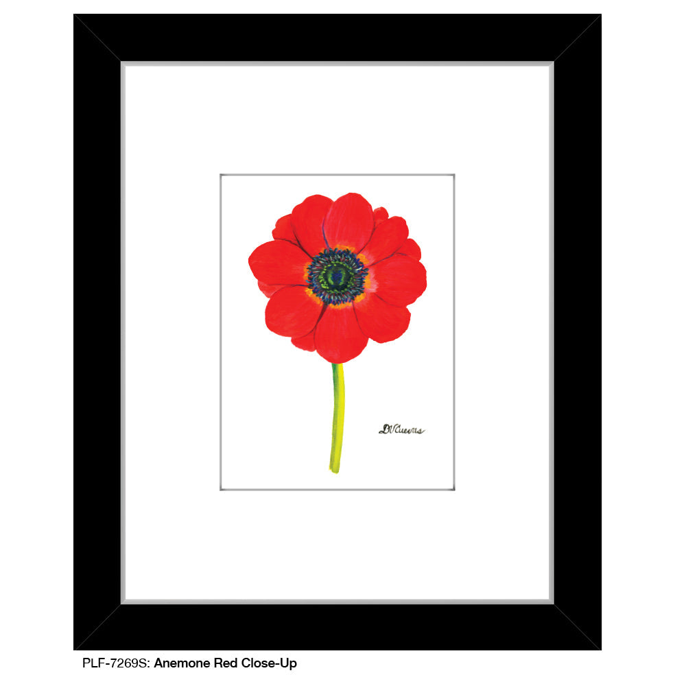 Anemone Red Close-Up, Print (#7269S) - Arte House